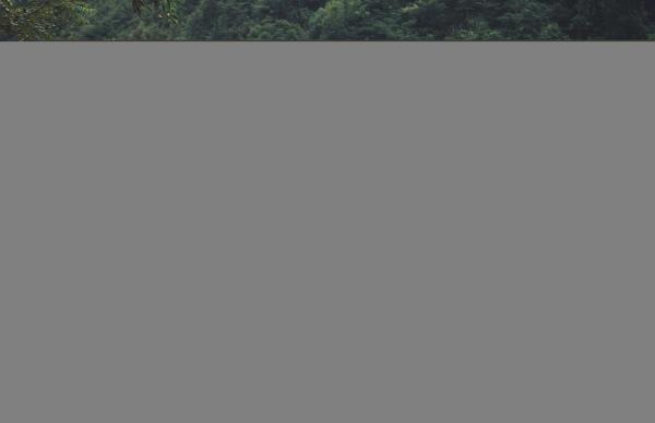 样可露营广州花都露营地