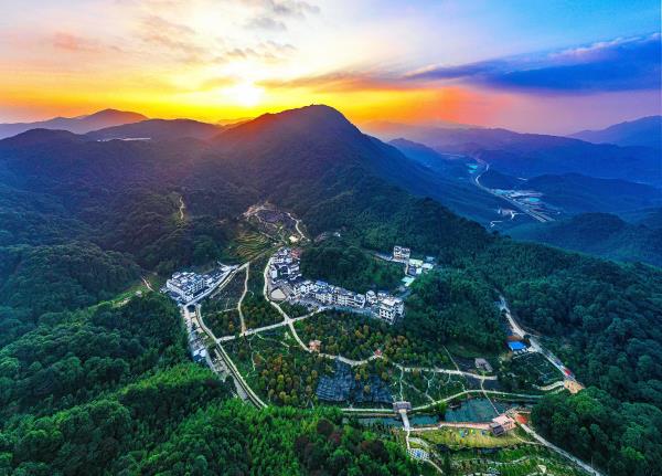 桂峰村