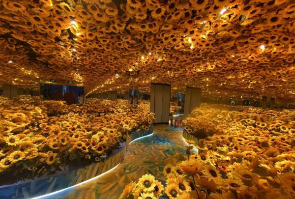 广州梵高星空艺术馆(天宜广场店)