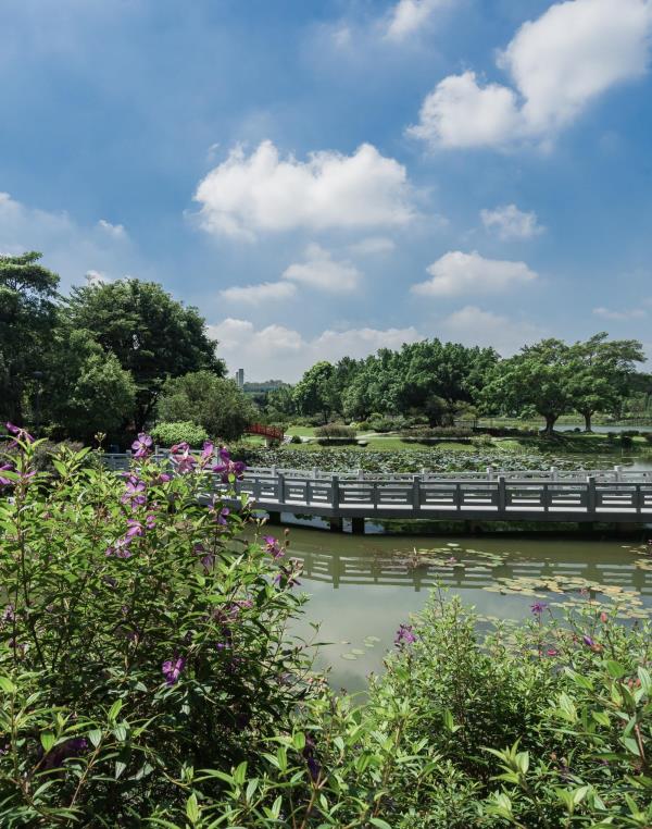 东莞植物园