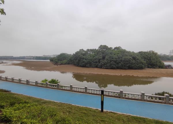 流溪河