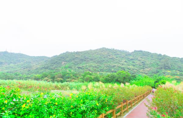 黄山鲁森林公园