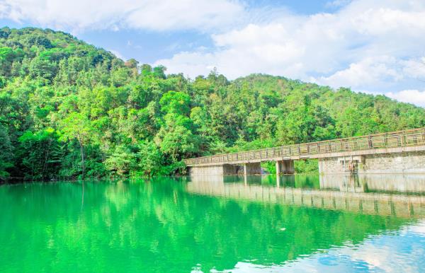 王子山森林公园