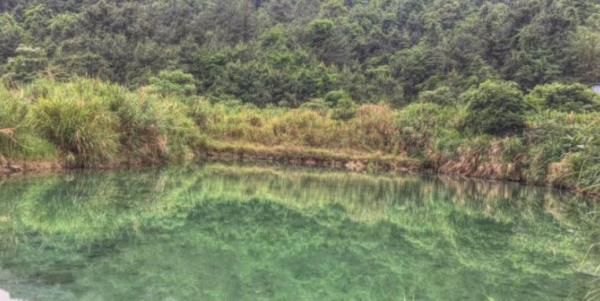 乳源瑶族自治县南水温泉度假村