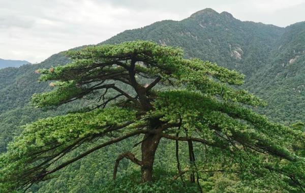 鬼子寨风景区