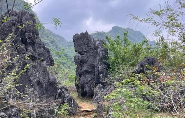 怀集世外桃源风景区
