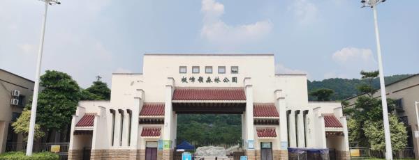板嶂岭森林公园