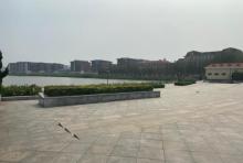 华新街景观湖公园3