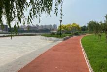 华新街景观湖公园1