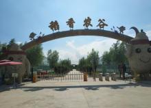 稻香农谷1