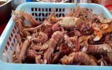 金海湾海上休闲旅游3
