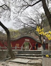 天成寺10