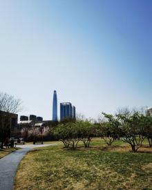 泰达城市公园4