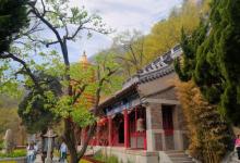 万松寺14