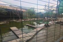 小马哥天天乐园9