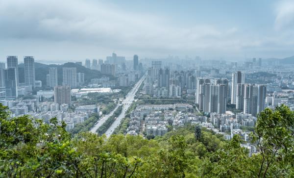 板樟山森林公园