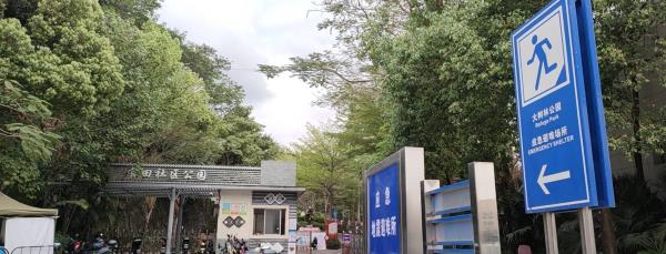 石岩大树林公园