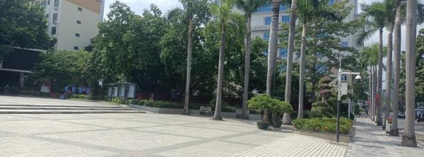 民治社区公园