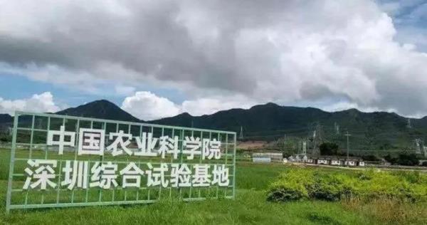 中国农业科学院深圳综合试验基地