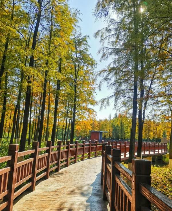 红花岭公园