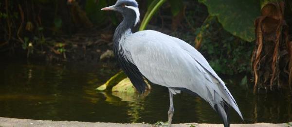 小湖