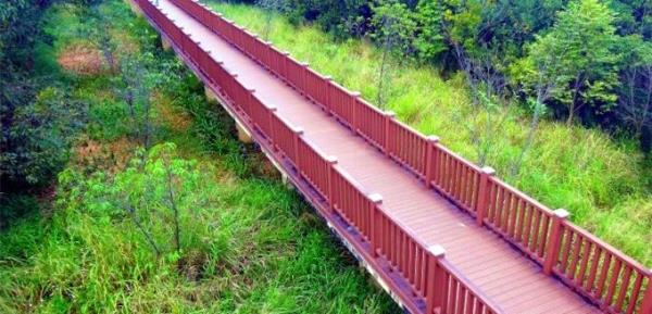 石岩环湖碧道青草排公园