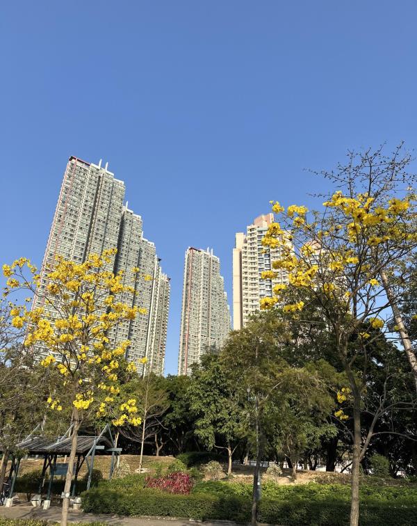 南昌公园