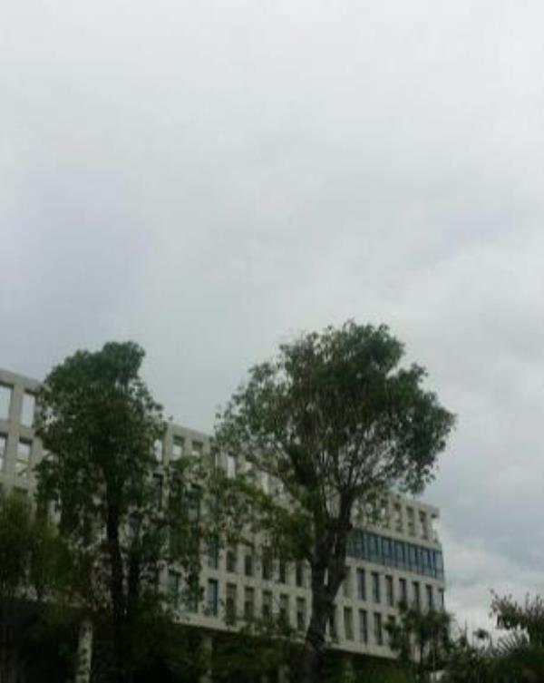 深圳红树林湿地生态展览馆