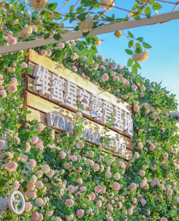 维蜜星空露营基地