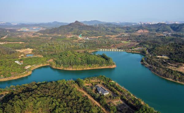 凤岗南门山森林公园