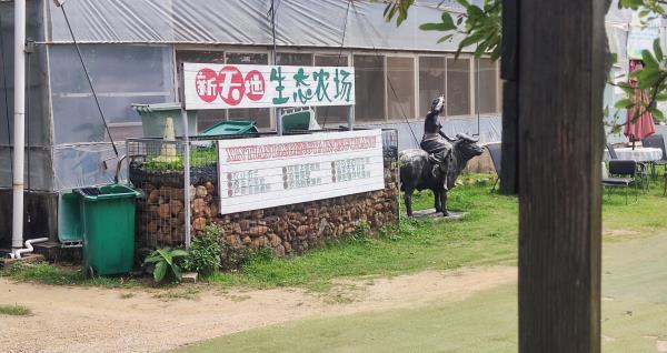 新天地生态农场