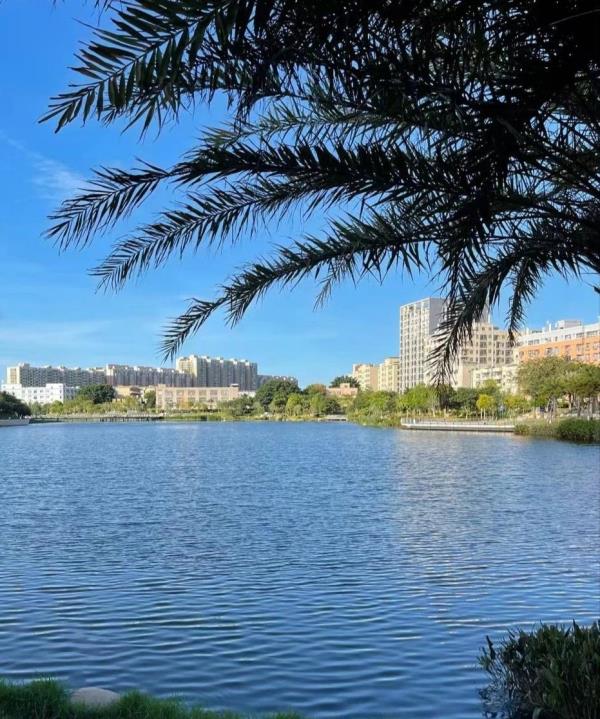 万丰湖湿地公园