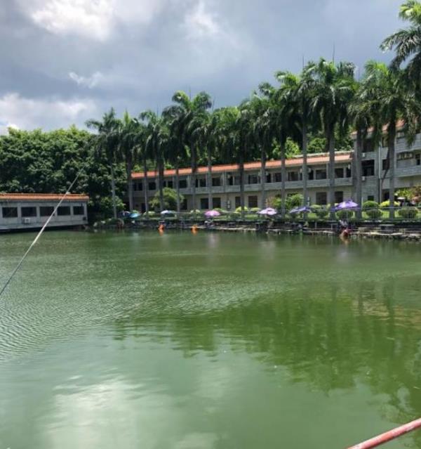 西丽湖垂钓中心