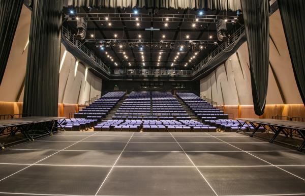 深圳戏院演出
