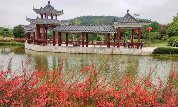 龙岗河湿地公园
