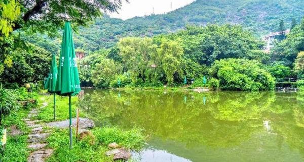 钓鱼池