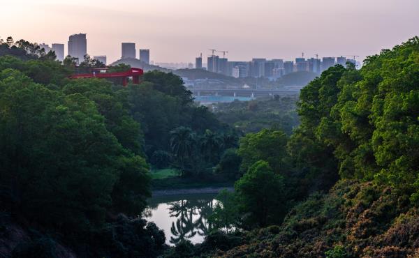 大顶岭山林公园