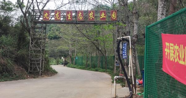 九龙生态园