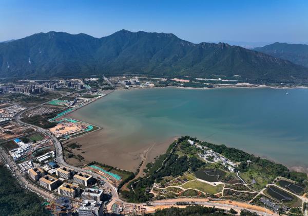 坝光银叶湿地公园