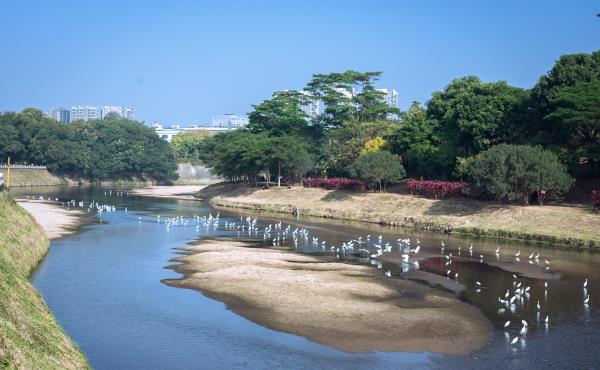 观澜河湿地公园
