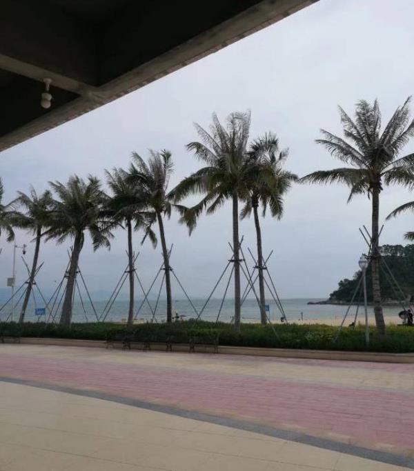 野趣时光-鹿嘴沙滩露营地
