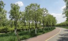 东丽湖生态体育公园1