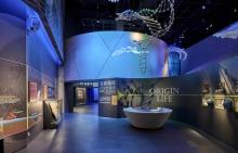 远古海洋展厅2