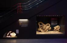 远古海洋展厅6
