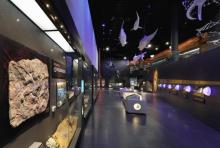 远古海洋展厅5