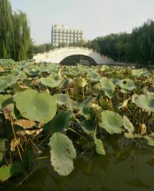 方舟公园3