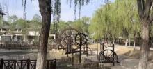 乐环球动物主题乐园19
