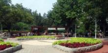 土山公园2