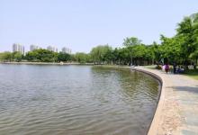 泰丰公园10