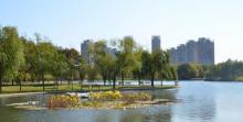 泰丰公园22